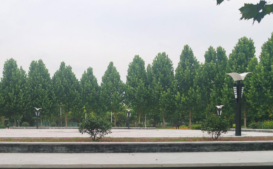 景觀燈，公園景觀燈.jpg